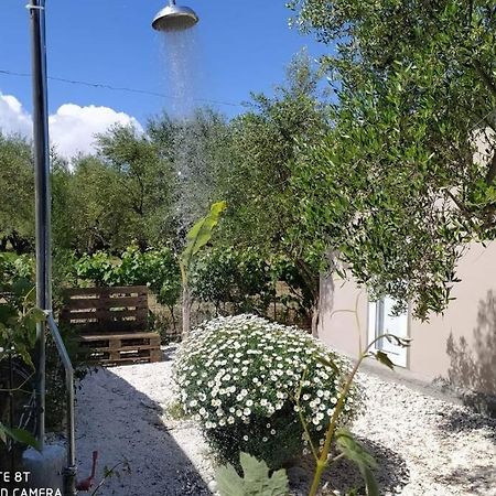 Raisin House Villa Koukounariá Екстериор снимка